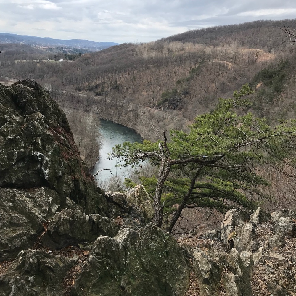 Meet your Posher, Aleksandra